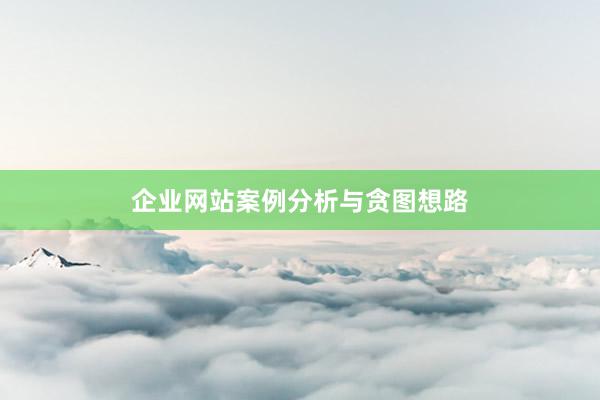 企业网站案例分析与贪图想路